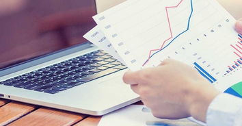 重慶專業(yè)項(xiàng)目可行性研究報(bào)告編寫(xiě)與信息咨詢服務(wù)